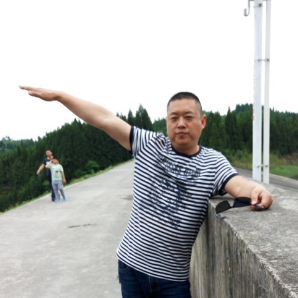 鹞击长空的照片