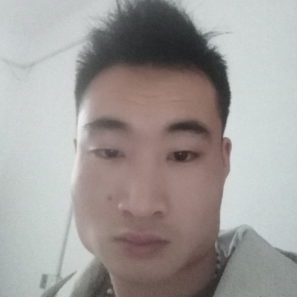 羽毛倾心多情的照片