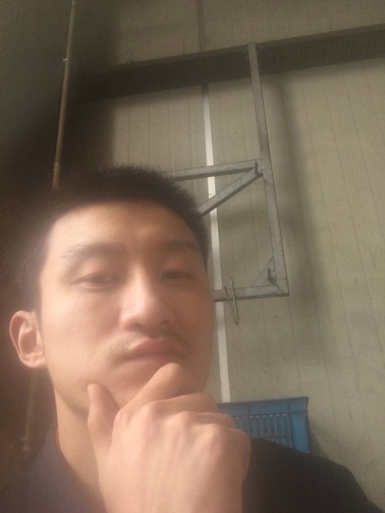 小猫咪愿热心的照片