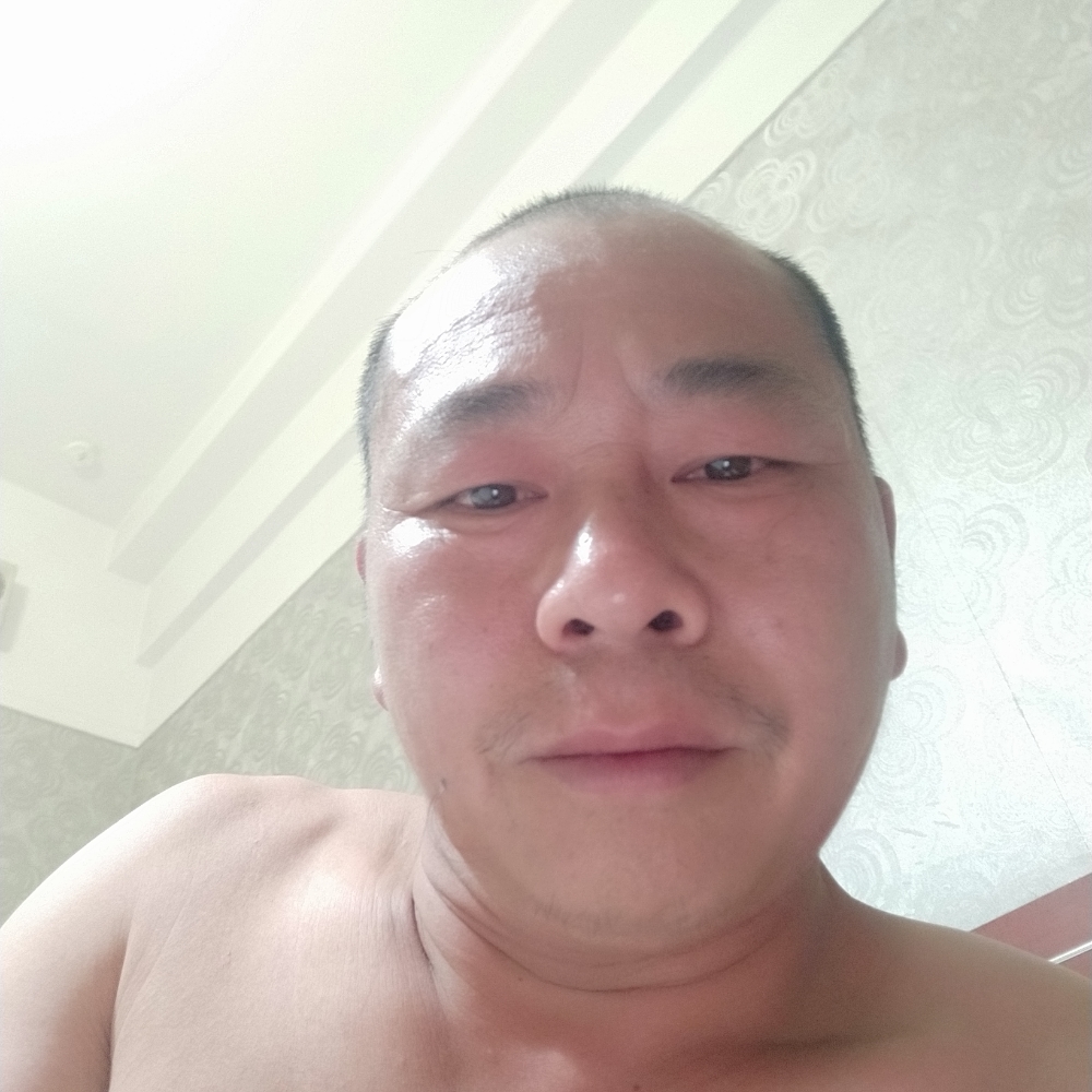 飞起来的熊的照片