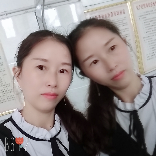 仁爱蚂蚁的照片