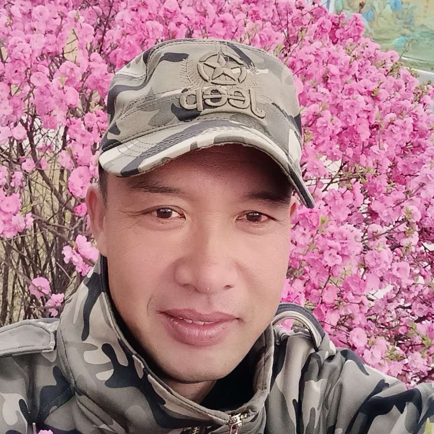 贪玩那小松鼠的照片