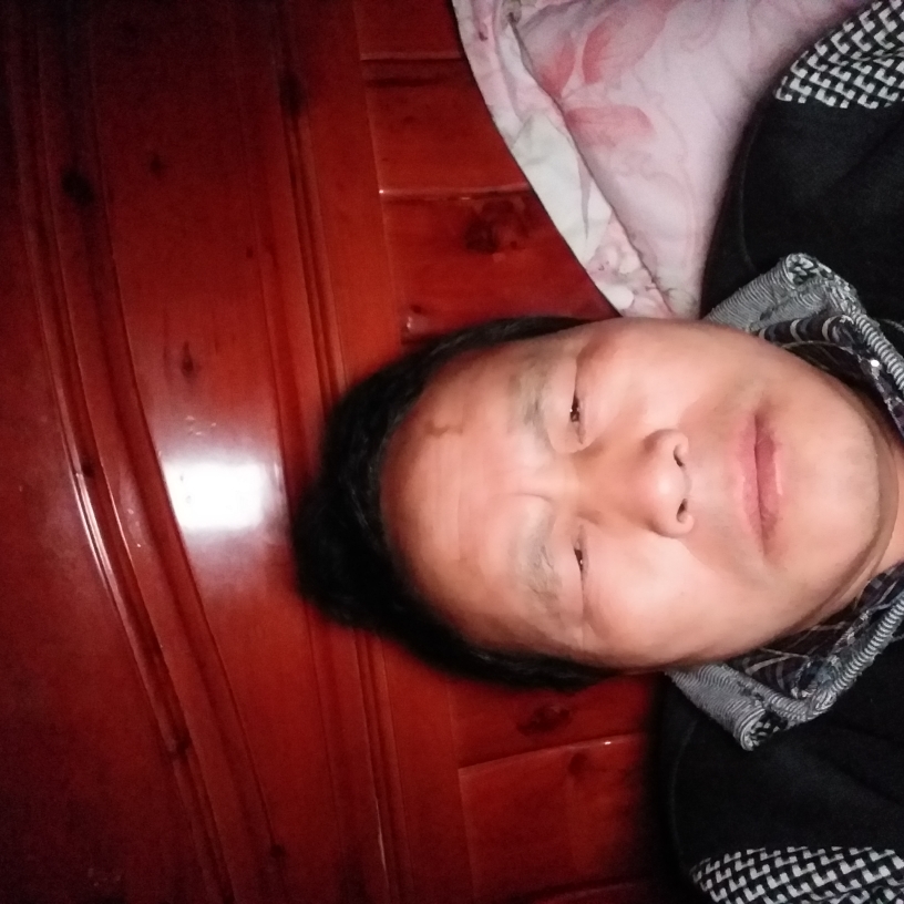 大船初夏的照片