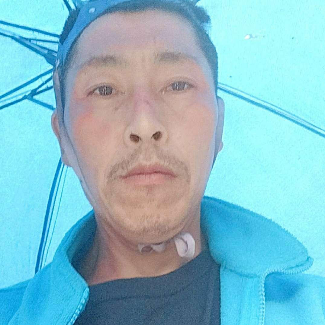 芝麻踢忧虑的照片
