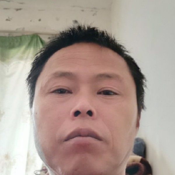 铅笔深拥自然的照片