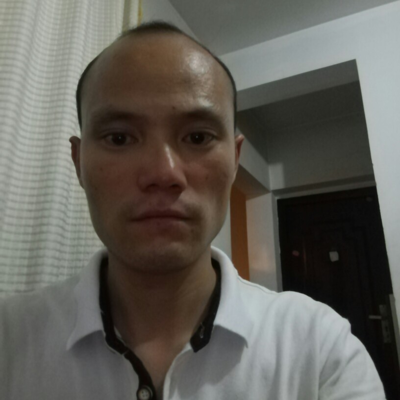 强健乌龟的照片