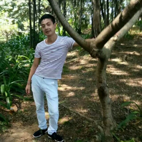 旧时光苦恋心情的照片