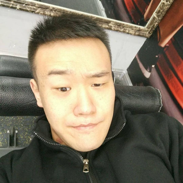 斑马向无限的照片