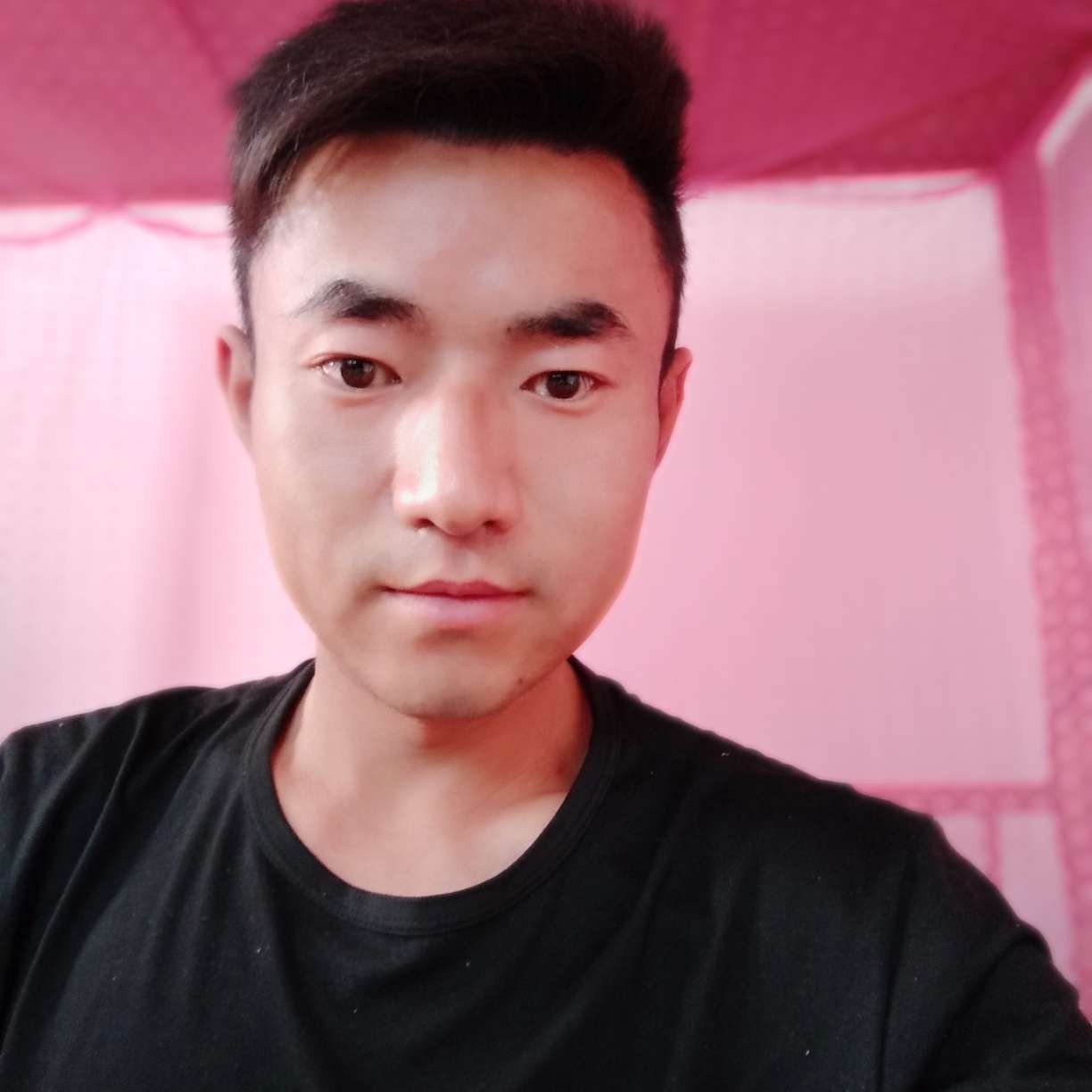 小蜜蜂2的照片