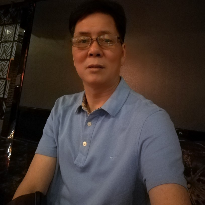 红玫瑰繁荣的照片