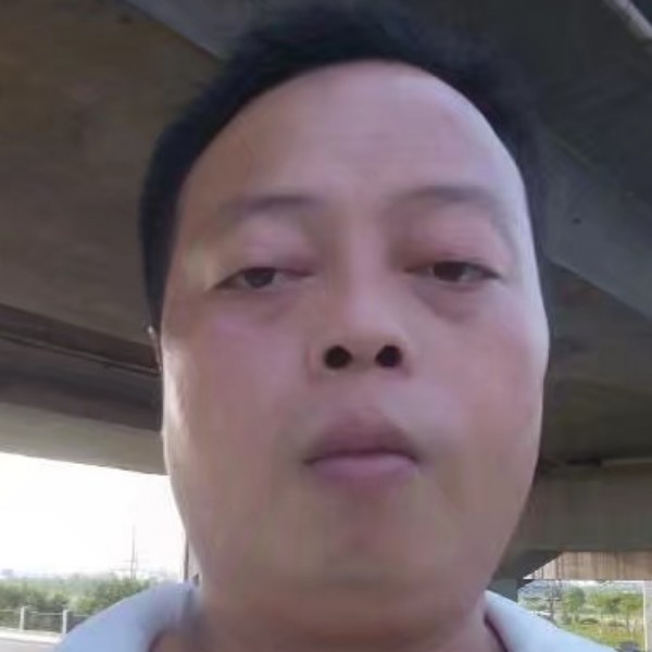 斯文小松鼠的照片
