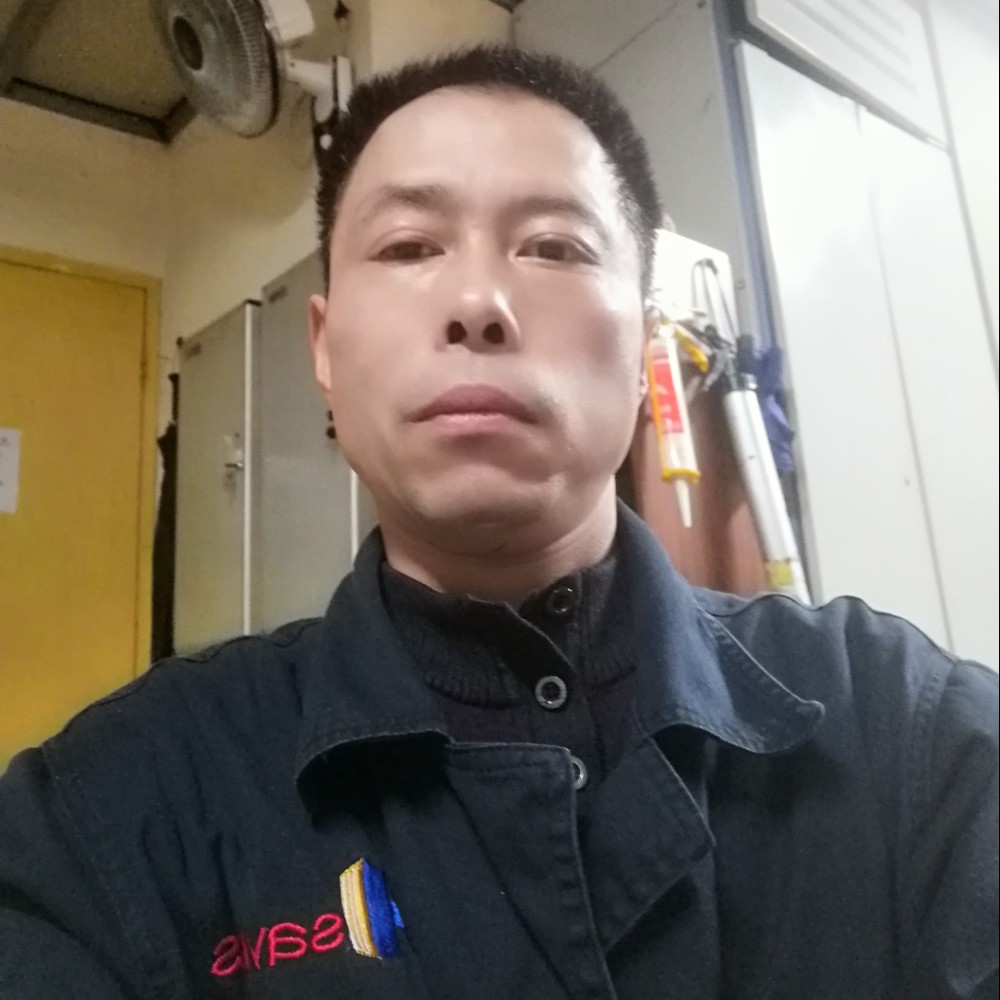 苗条板栗的照片