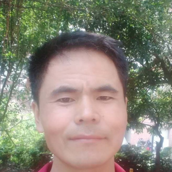 欢呼方汉堡的照片
