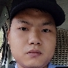 小蜜蜂的简单的照片