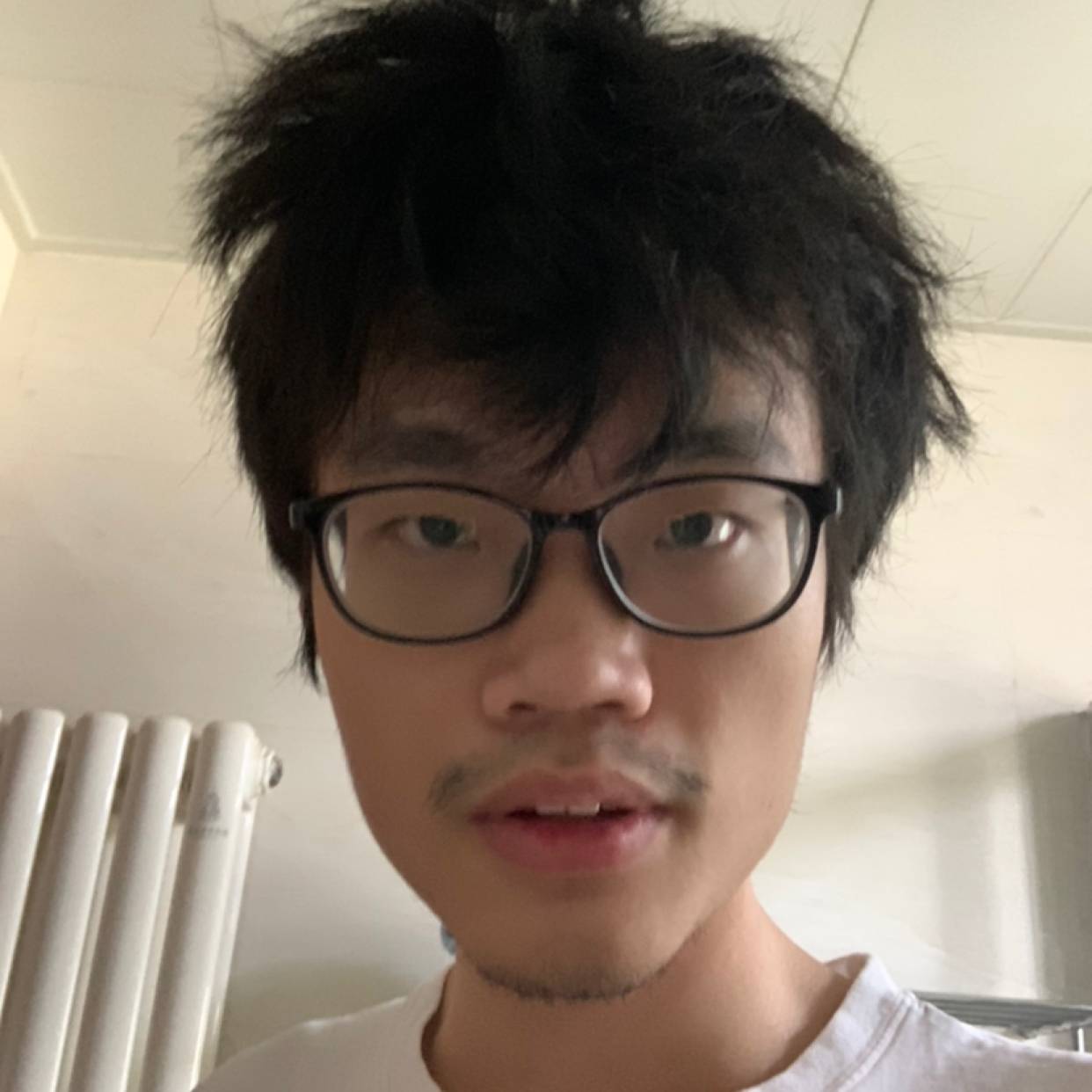 大雁蹙眉沉静的照片