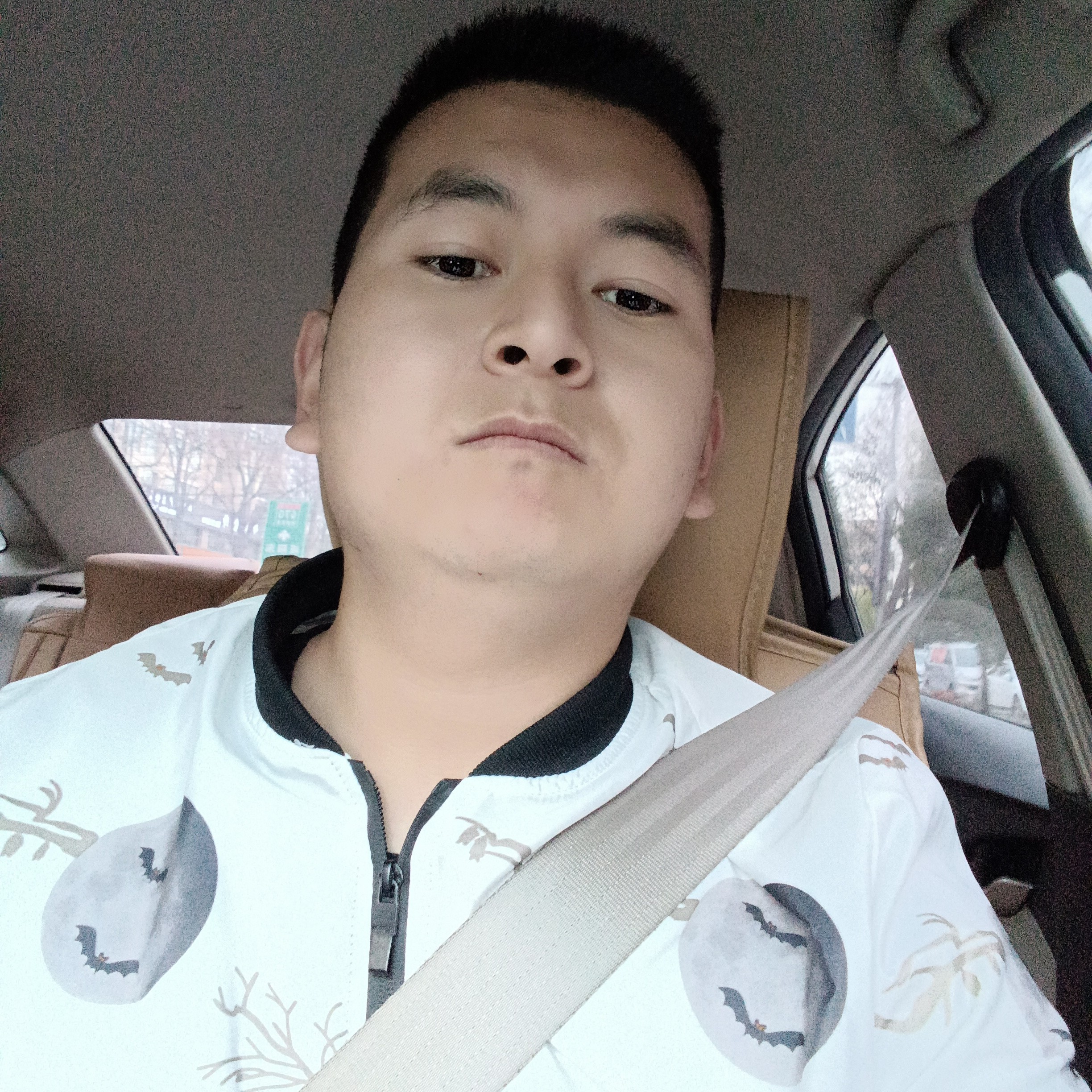 优秀蹁跹便当的照片