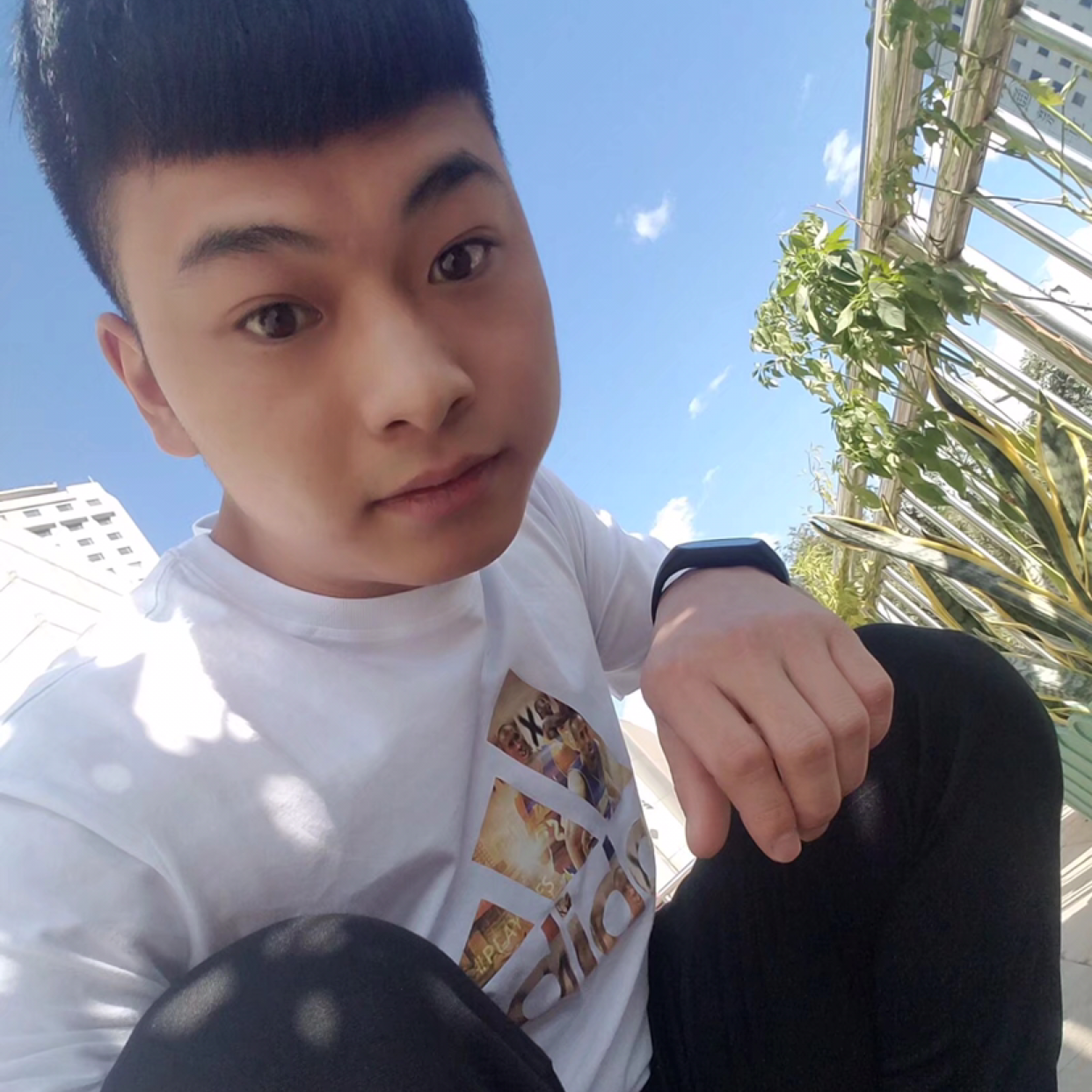 chao@cha的照片