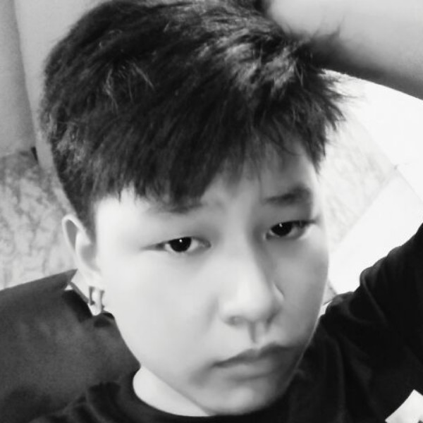 缥缈的小刺猬的照片