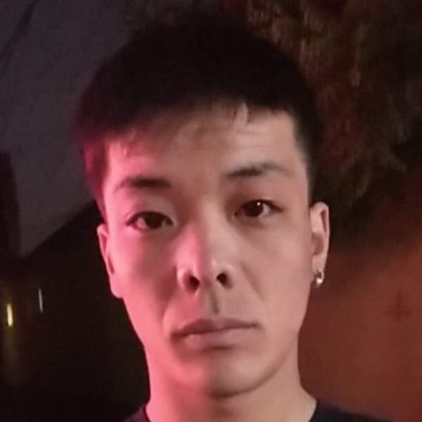 淡定与黄蜂的照片