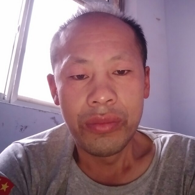 蚂蚁拉长的照片
