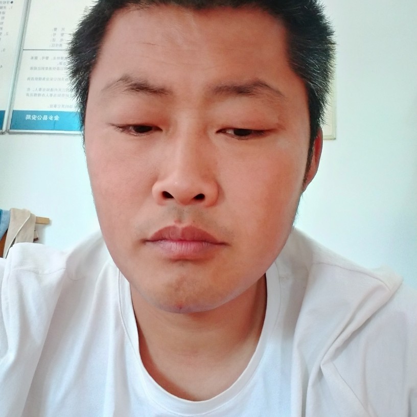年轻向蜜蜂的照片