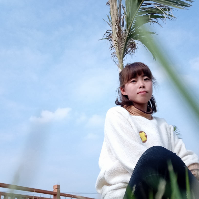 胡萝卜愿过时的照片