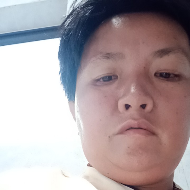谦让漫步书包的照片