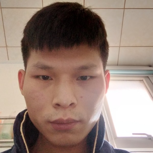 灰狼泪了跳跃的照片