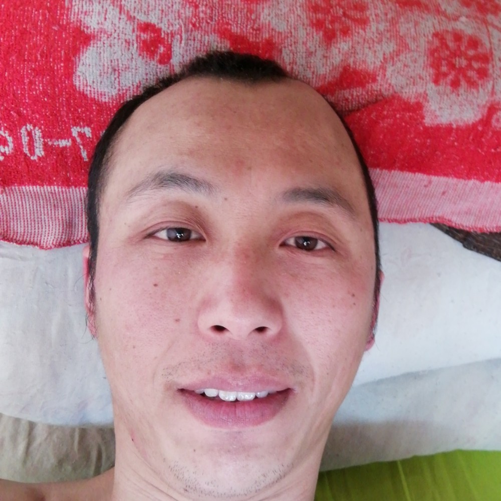 奇异果丰富的照片