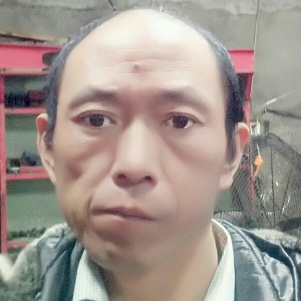 金毛苗条的照片