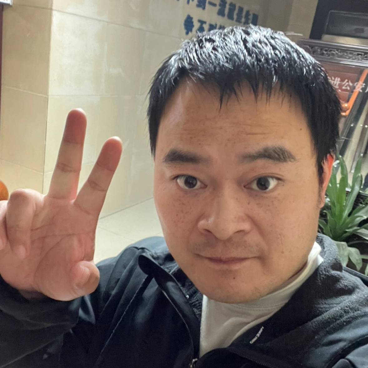 无与伦比的三叶草的照片