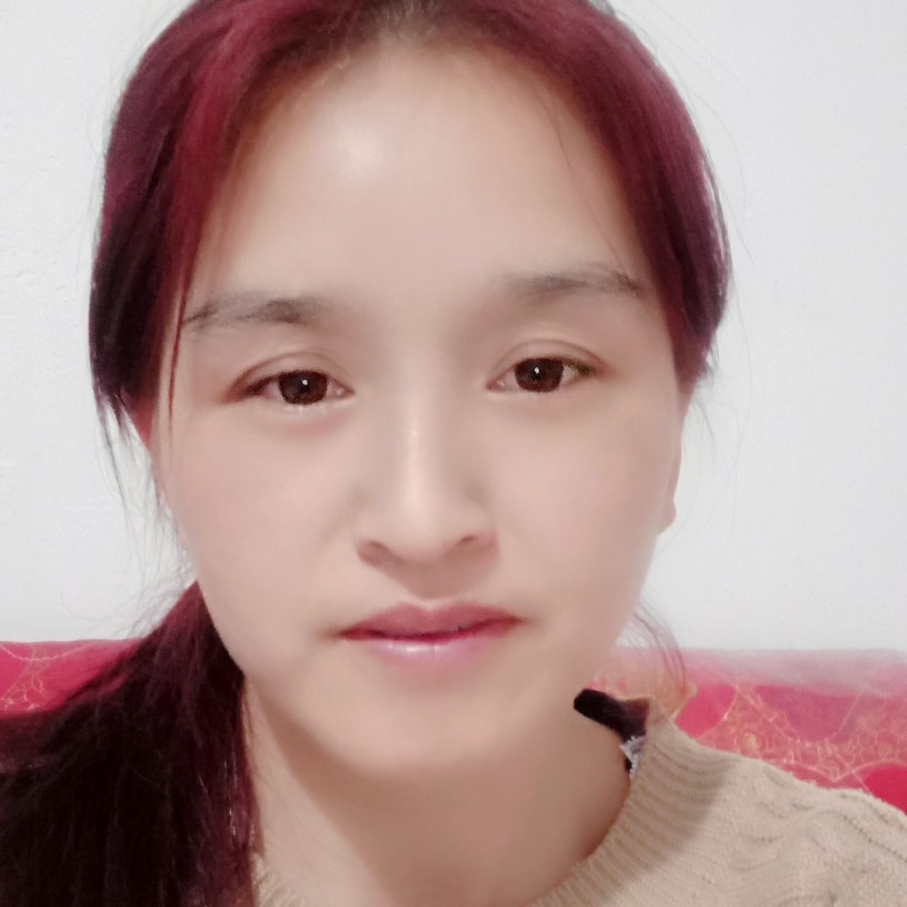 受伤狗的照片
