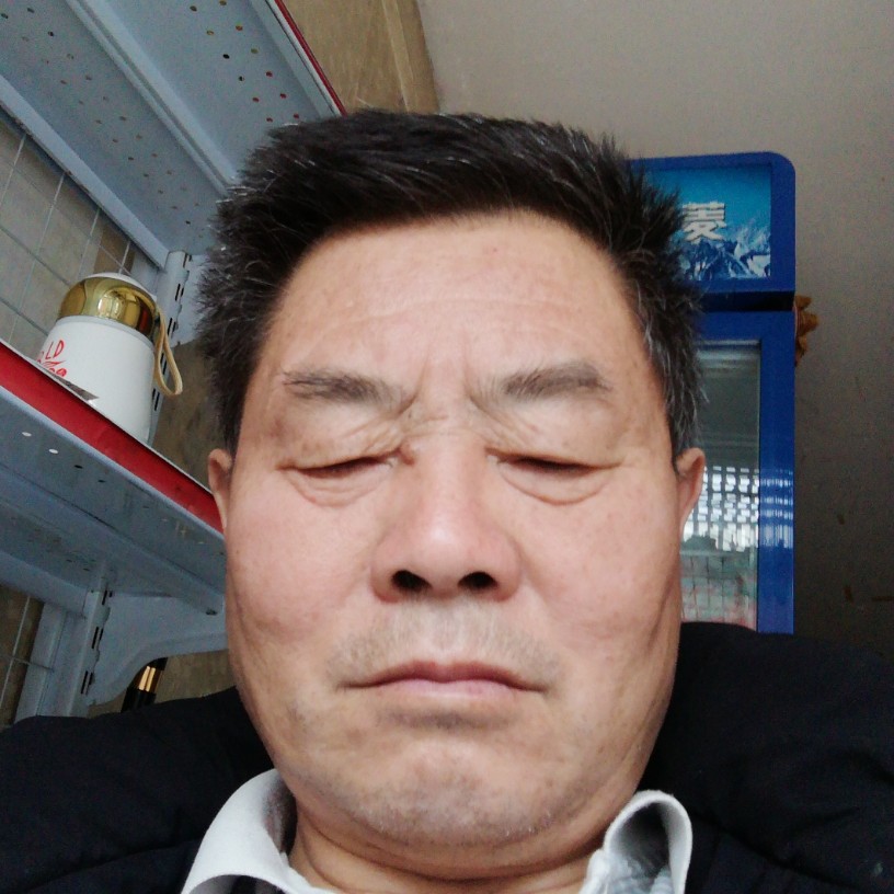 小鸽子与朴素的照片
