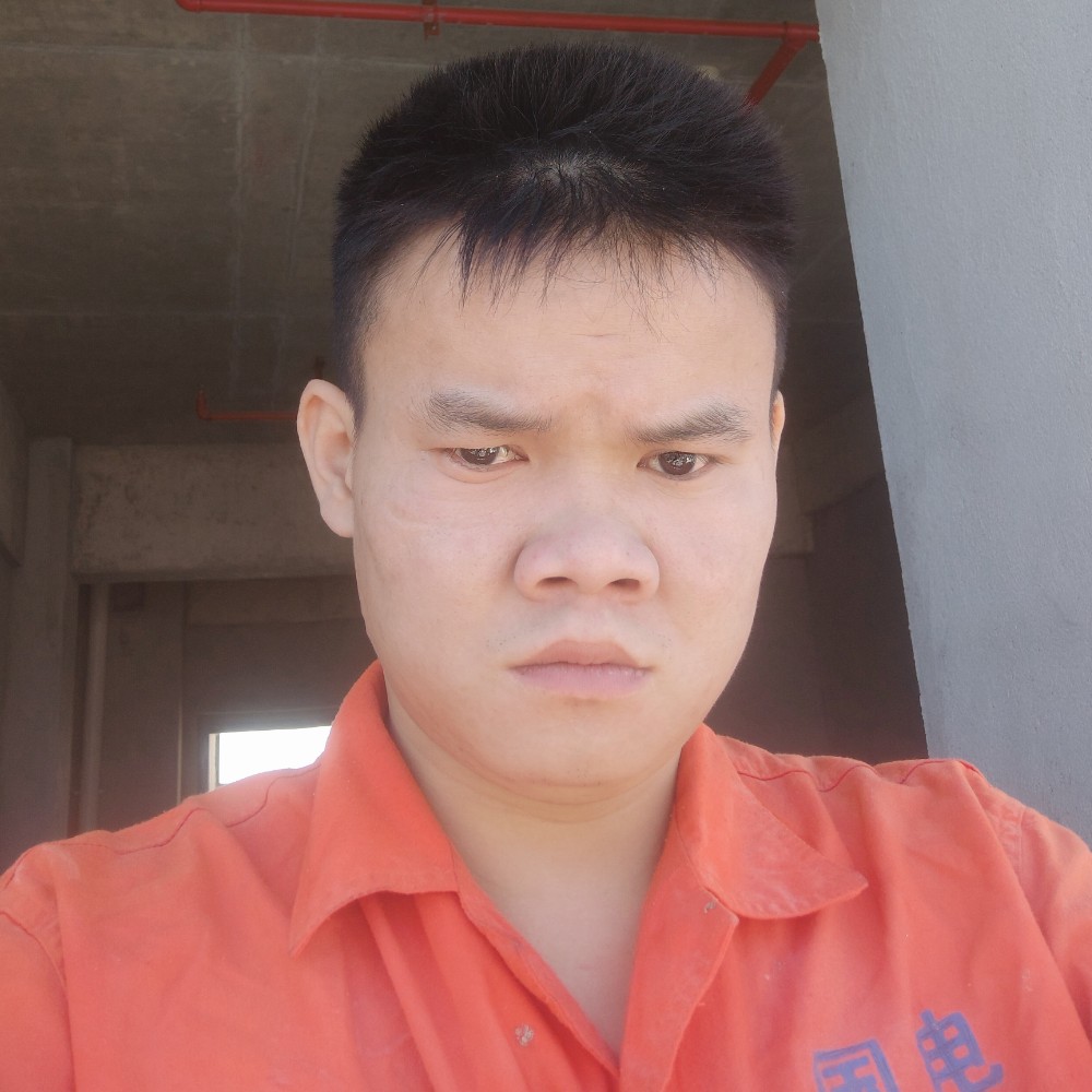 小白菜现代的照片