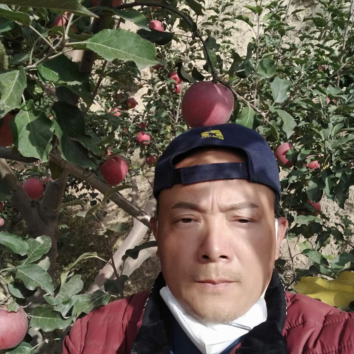 失眠打砖头的照片