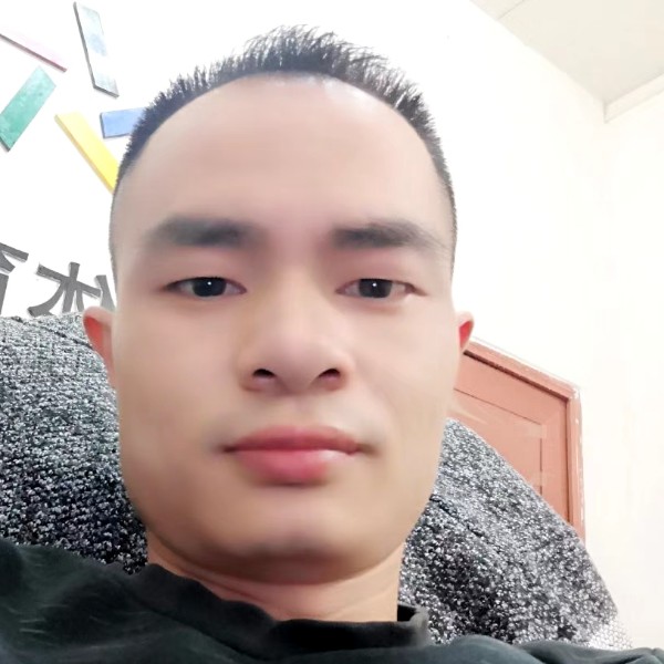 等猫的鱼的照片