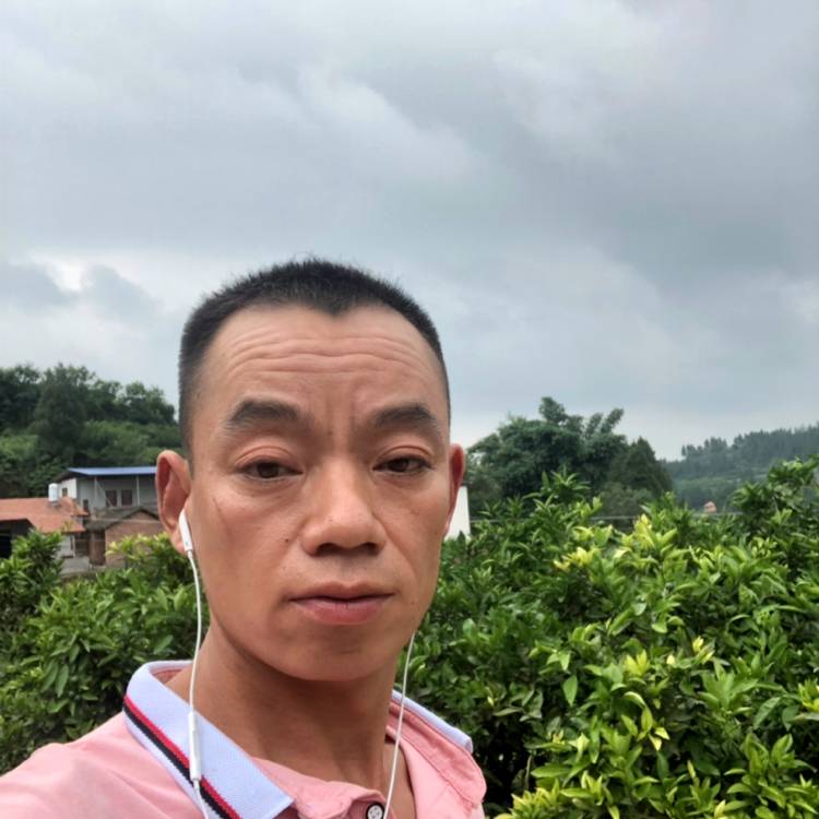 多情闻春华的照片