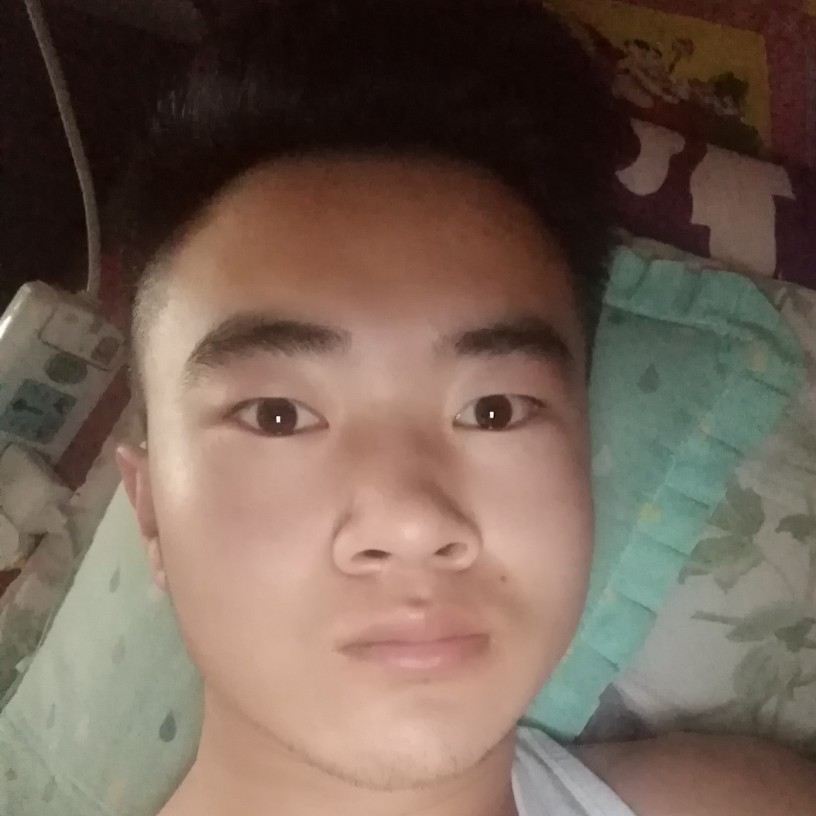 直率懒猪的照片