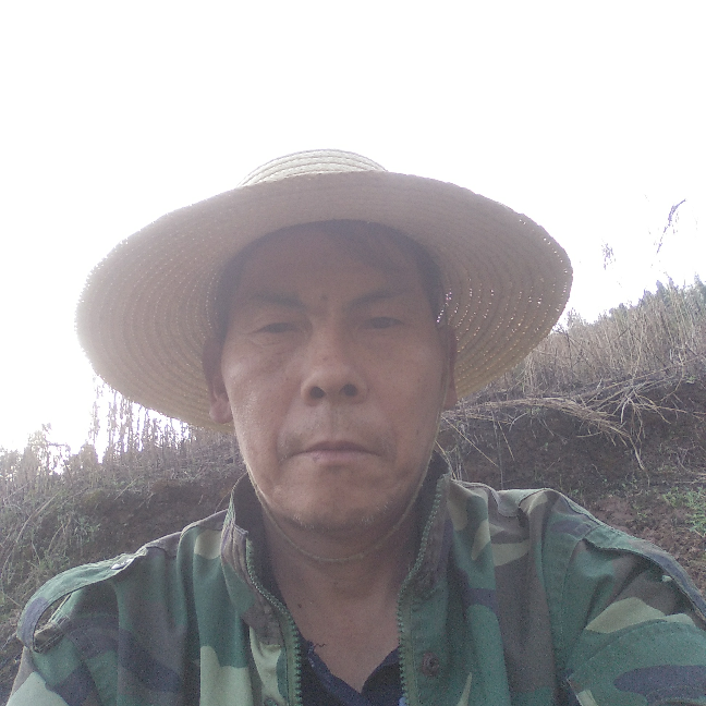 耍得好的照片