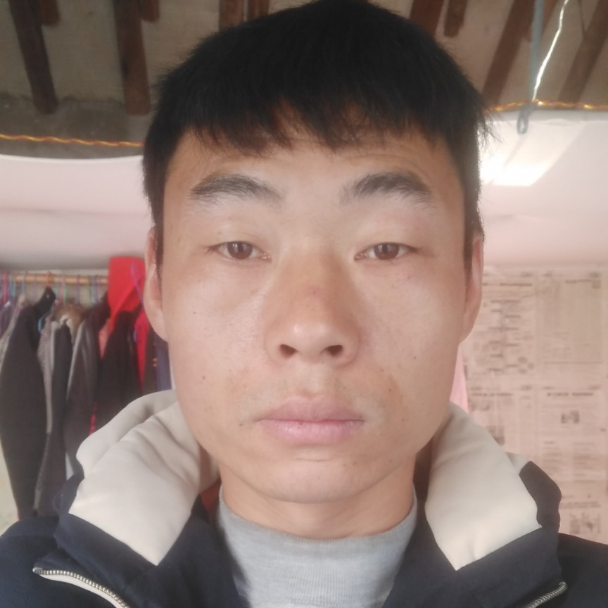 难过那蚂蚁的照片