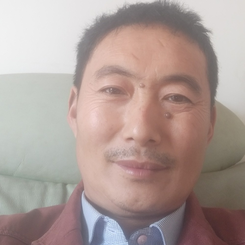 小蚂蚁用悲凉的照片
