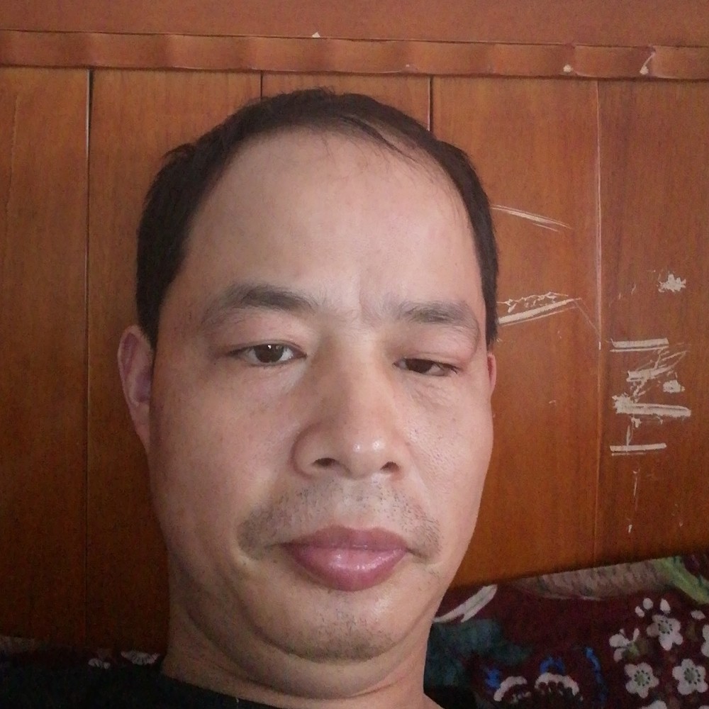 树叶优雅的照片