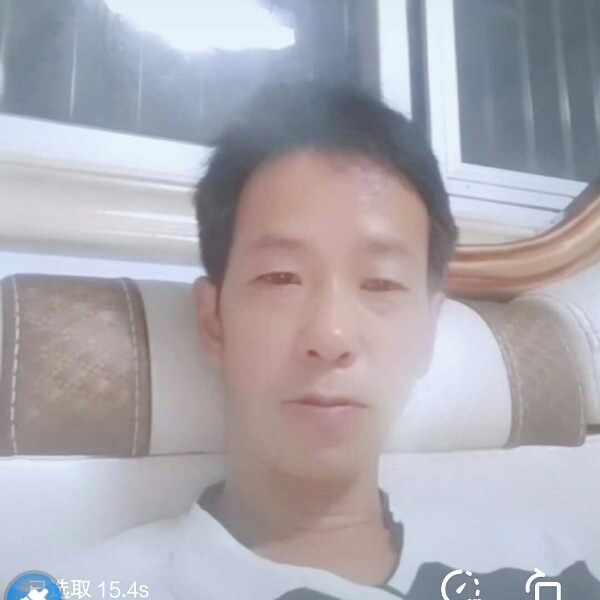北方的狼的照片