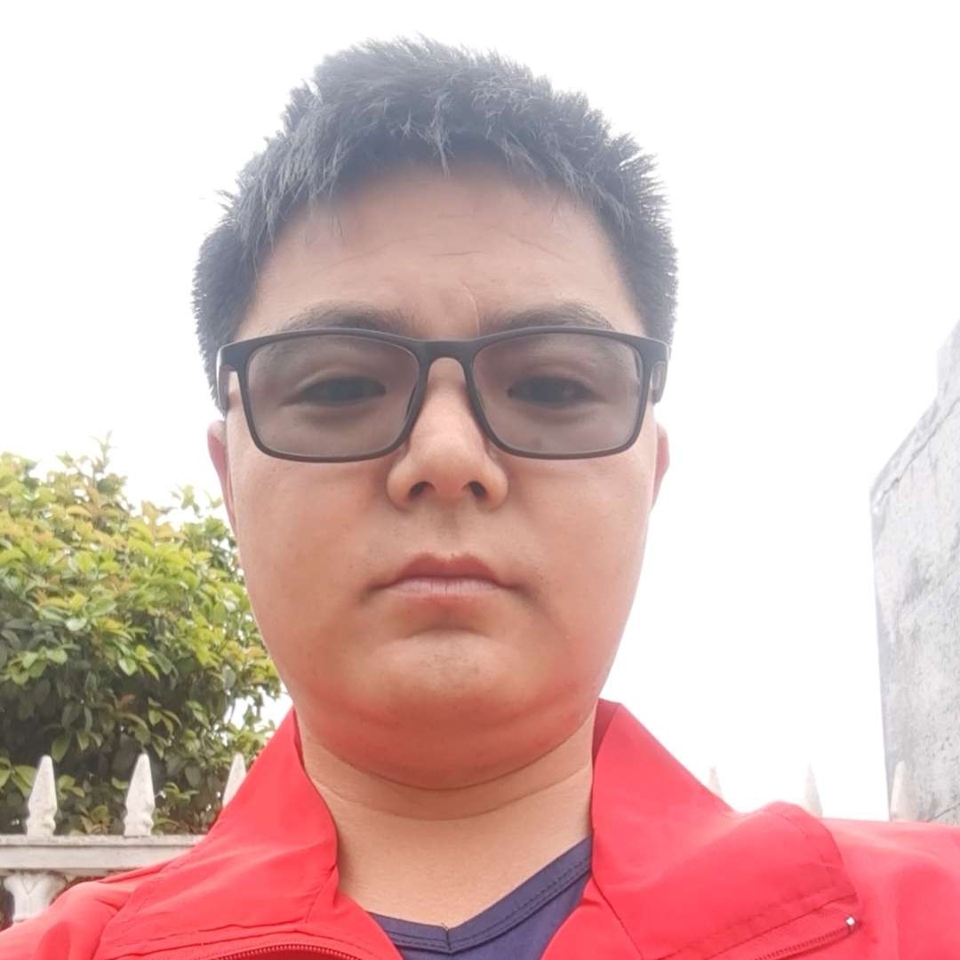 危机与汽车的照片