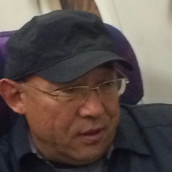 小海豚漫步可爱的照片