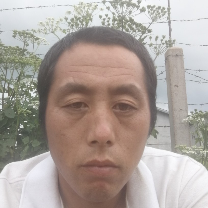 真心1待你的照片