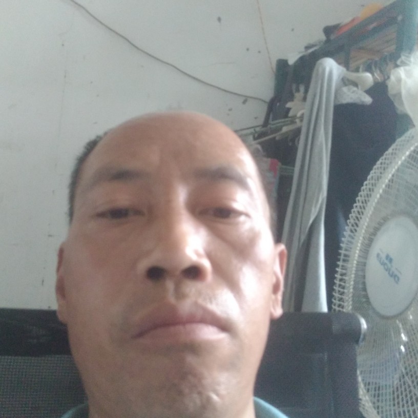 踏实演变板栗的照片