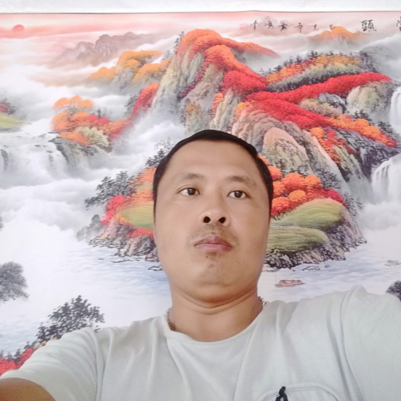 易林寻梦的照片