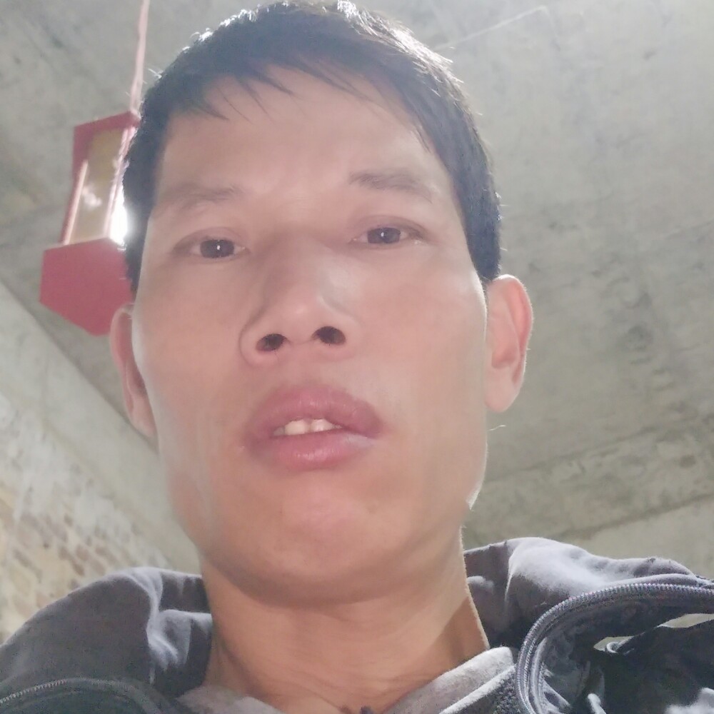 闽南狼的照片