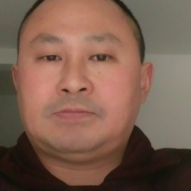 鲤鱼玫瑰的照片